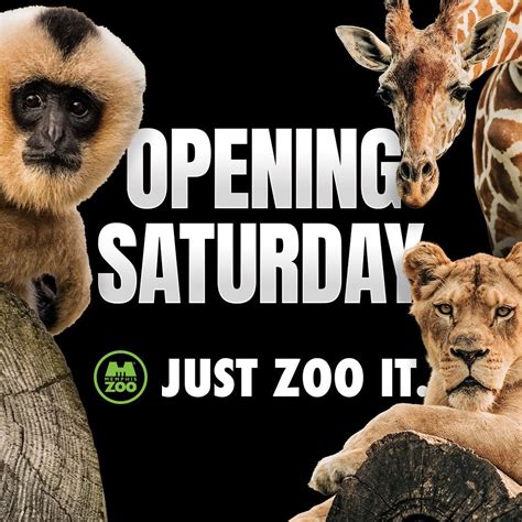 Memphis zoo hours - Tickets are also available on-site upon arrival. Guests under 17 need to be accompanied by an adult aged 18 or above (last admission is an hour before the zoo closes). Adult/Youth (Ages 12 & UP) 0. $24.95.00. 